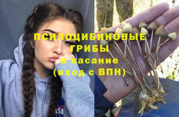 МДПВ Аркадак