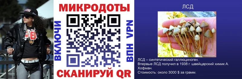 Псилоцибиновые грибы Cubensis Волгоград